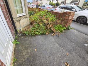 Photo 6- click for photo gallery